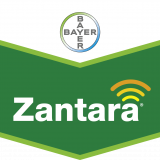 Zantara