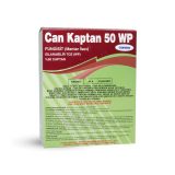 can-kaptan-50-wp