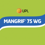 mangrıf